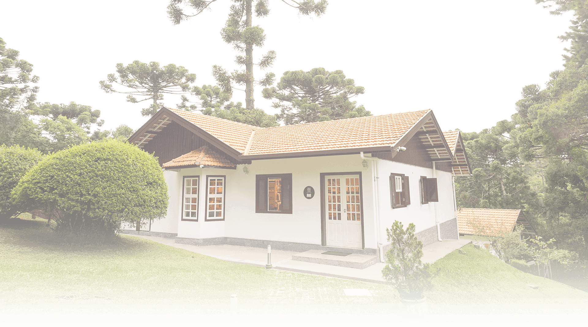 Background Educação