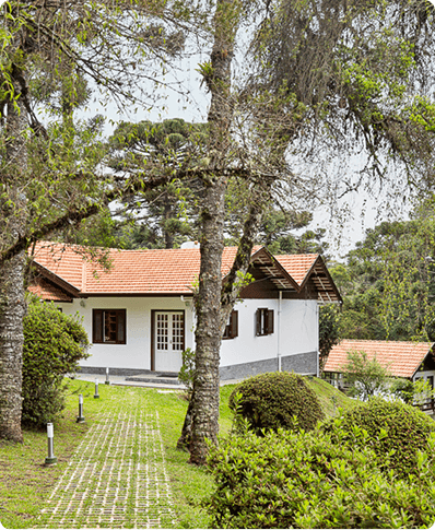 Formação  de Professores